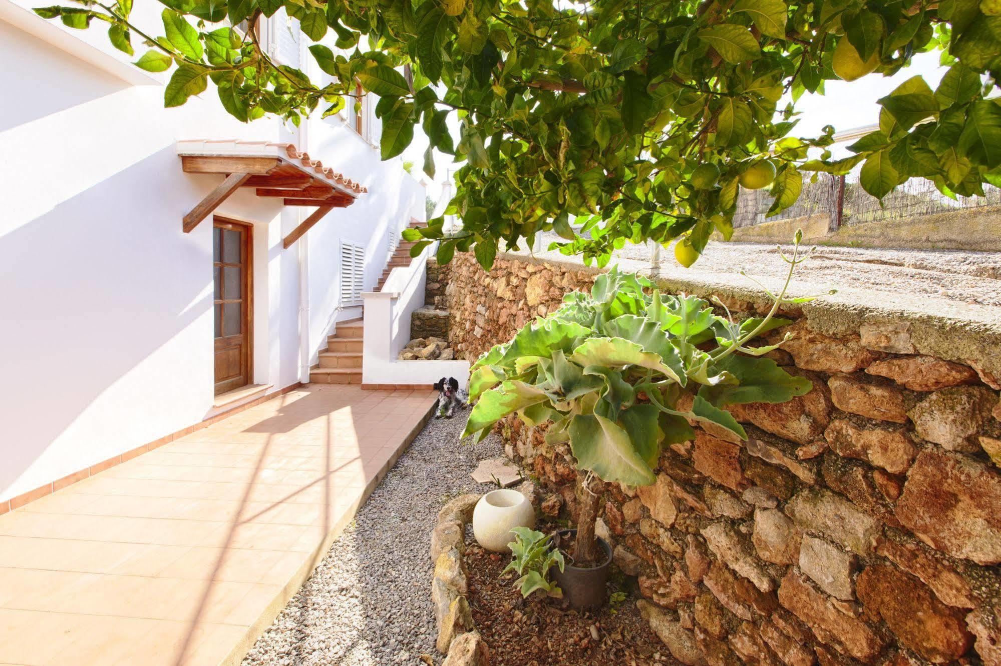 Apartamentos Colomar Santa Eulalia del Río Exterior foto